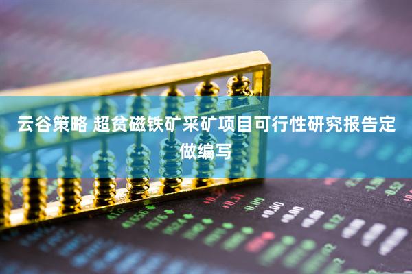云谷策略 超贫磁铁矿采矿项目可行性研究报告定做编写
